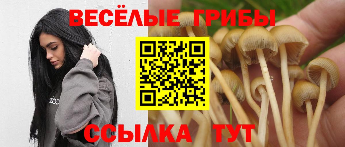 Галлюциногенные грибы MAGIC MUSHROOMS  Псилоцибиновые грибы Cubensis  купить закладку  Благодарный  Вход с VPN 
