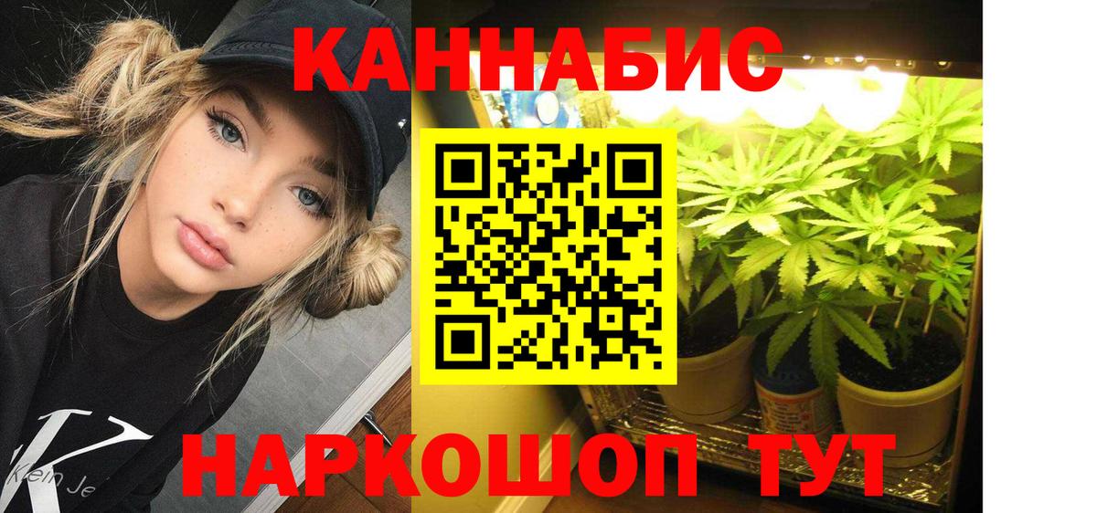Каннабис ГИДРОПОН  Канабис SATIVA & INDICA  Бошки Шишки планчик  Благодарный  Вход с VPN 